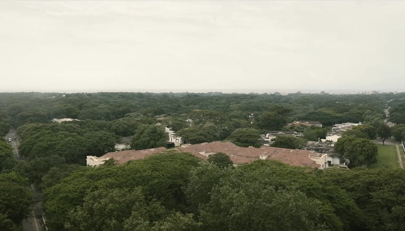 Vista aérea de un barrio residencial de Montevideo — niddo